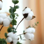 Single Eucalyptus & Cotton Stem Rustic White  - Image 6