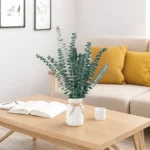 Dried Eucalyptus Natural Green - Image 7