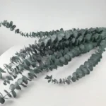 Dried Eucalyptus Natural Green - Image 3