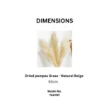Natural Beige Dried Pampas Grass - Image 3