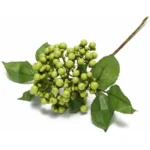 Artificial Berry Stem Green - Image 3