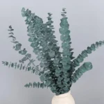Dried Eucalyptus Natural Green - Image 5