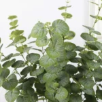 Artificial Eucalyptus Leaf Spray Green - Image 4