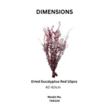 Dried Eucalyptus Natural Red - Image 2