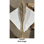 Natural Beige Dried Pampas Grass - Image 5