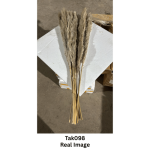 Natural Beige Dried Pampas Grass - Image 7