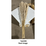Natural Beige Dried Pampas Grass - Image 9