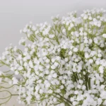 Artificial Baby’s Breath Bunch White  - Image 3