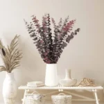 Dried Eucalyptus Natural Red