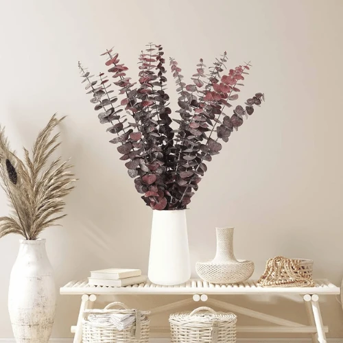 Dried Eucalyptus Natural Red