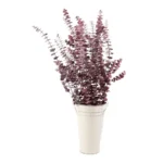 Dried Eucalyptus Natural Red - Image 5