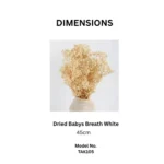 Dried Baby’s Breath Gypsophila Grass - Image 8