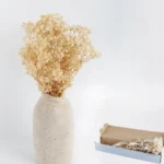 Dried Baby’s Breath Gypsophila Grass - Image 9