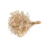 Dried Baby’s Breath Gypsophila Grass - Image 10