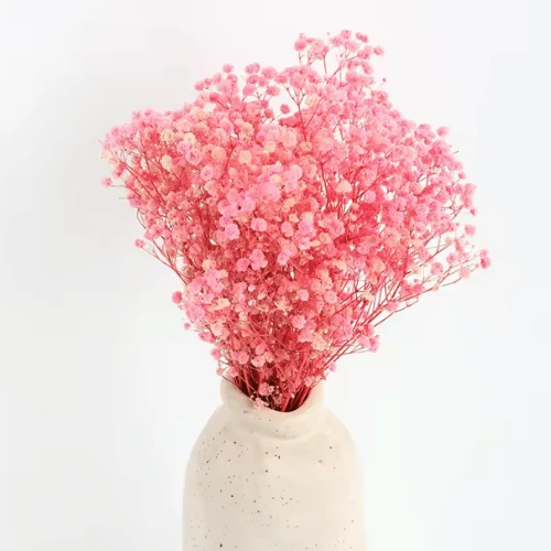 Dried Baby’s Breath Gypsophila Grass
