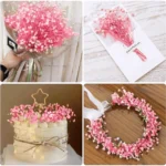 Dried Baby’s Breath Gypsophila Grass - Image 3