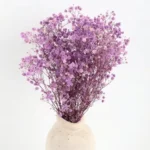 Dried Baby’s Breath Gypsophila Grass - Image 4