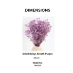 Dried Baby’s Breath Gypsophila Grass - Image 5