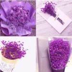 Dried Baby’s Breath Gypsophila Grass - Image 6