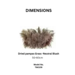 Dried Pampas Grass Neutral Blush - Image 2