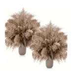 Dried Pampas Grass Neutral Blush - Image 3