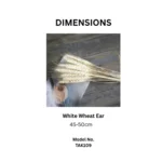 Dried Wheat Ear Grass - Image 2