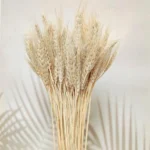 Dried Wheat Ear Grass - Image 6
