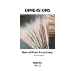 Dried Wheat Ear Grass - Image 7