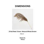 Dried Reed Grass - Image 4