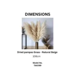 Natural Beige Dried Pampas Grass - Image 5