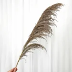 Dried Reed Grass - Image 9