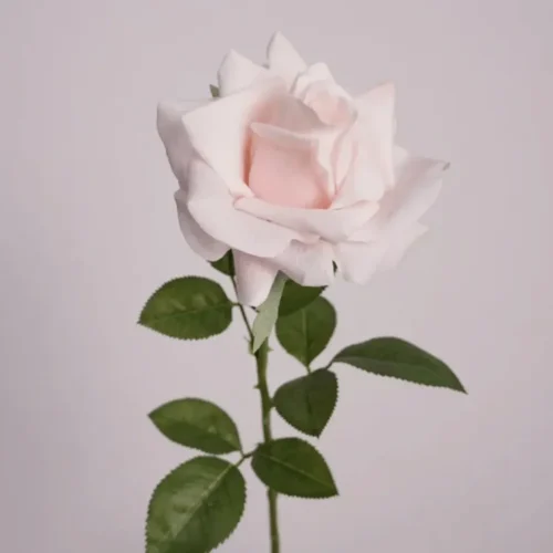 Moisturizing Artificial Light Pink Rose 