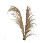 Dried Reed Grass - Image 5