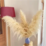 Natural Beige Dried Pampas Grass - Image 6