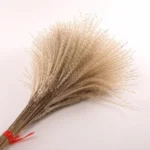 Natural Reed Grass Beige