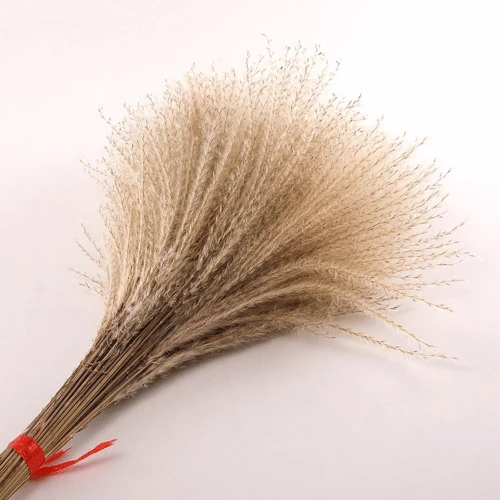 Natural Reed Grass Beige