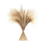 Natural Reed Grass Beige - Image 3