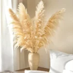 Natural Beige Dried Pampas Grass