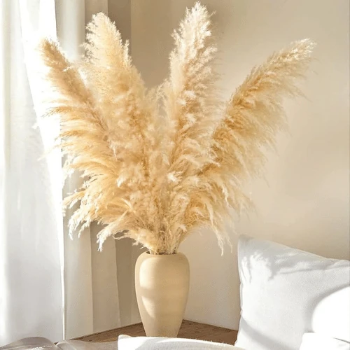 Natural Beige Dried Pampas Grass