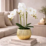 Ribbed Elite Ceramic Bowl Vase - Image 6