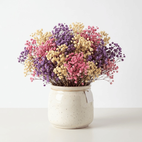 Dried Baby’s Breath Gypsophila Grass