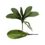 Real Touch Artificial Orchid Leaf  - Image 7