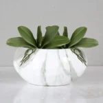 Real Touch Artificial Orchid Leaf  - Image 5