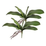 Real Touch Artificial Orchid Leaf  - Image 6
