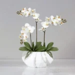 Real Touch Artificial Orchid Leaf  - Image 4