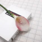 Artificial Calla Lily Flower  - Image 12