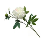 2 Branch Artificial Peony Stem 