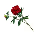 2 Branch Artificial Peony Stem  - Image 12