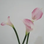 Artificial Calla Lily Flower  - Image 16