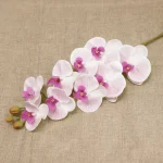 Real Touch Phalaenopsis Orchid Stem Pink